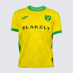 Camiseta Local de Norwich City 2024/25 para Niños